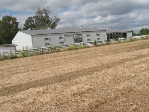 Property photo 49 - 80 Acres Offered in 4 Tracts - Horse Farm